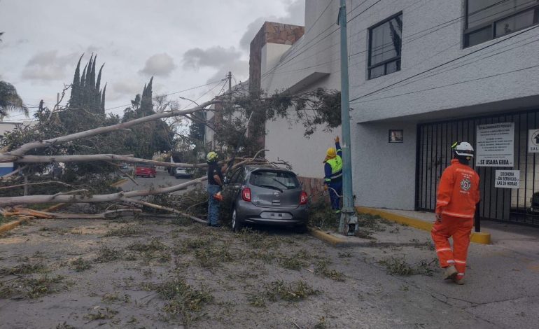  El viento causa severos daños a la capital de SLP