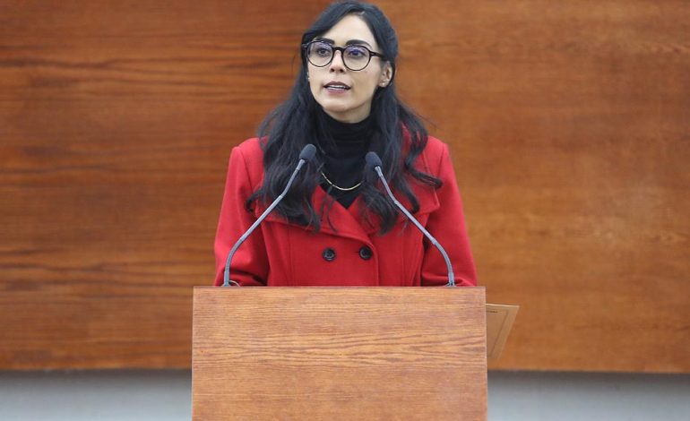  Cecilia Ochoa será la coordinadora del PVEM en el Congreso