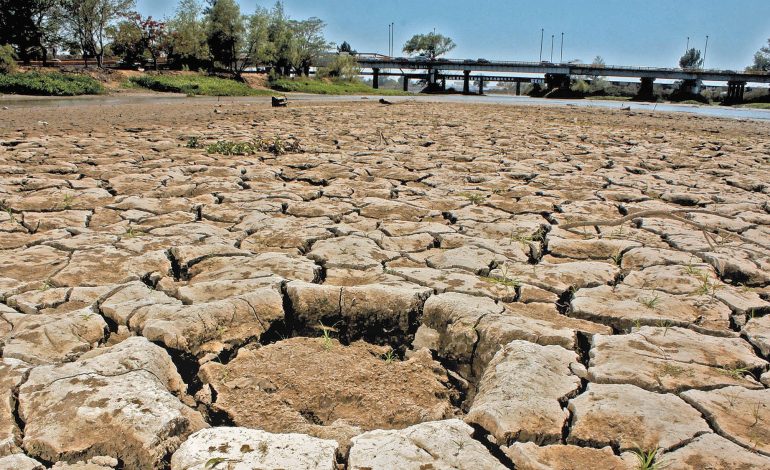  55% del territorio de SLP está en sequía excepcional