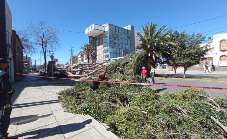  (VIDEO) Alertan por fuertes ráfagas de viento en la capital