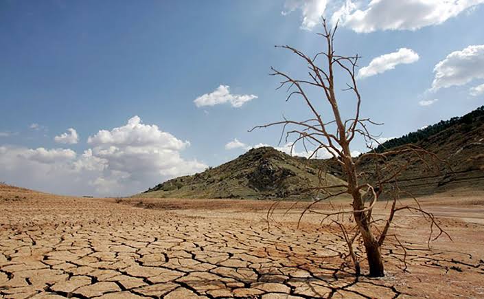  SLP es el estado con más territorio en sequía excepcional en el país
