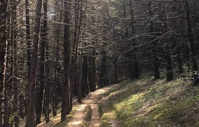  Ciudadanos crean la AC “Sierra Viva”, para la conservación de la Sierra de Álvarez