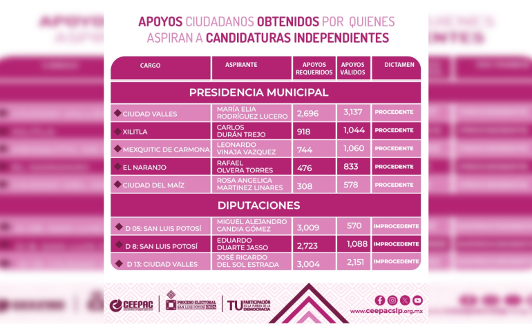  5 ciudadanos podrán registrarse como independientes para las elecciones