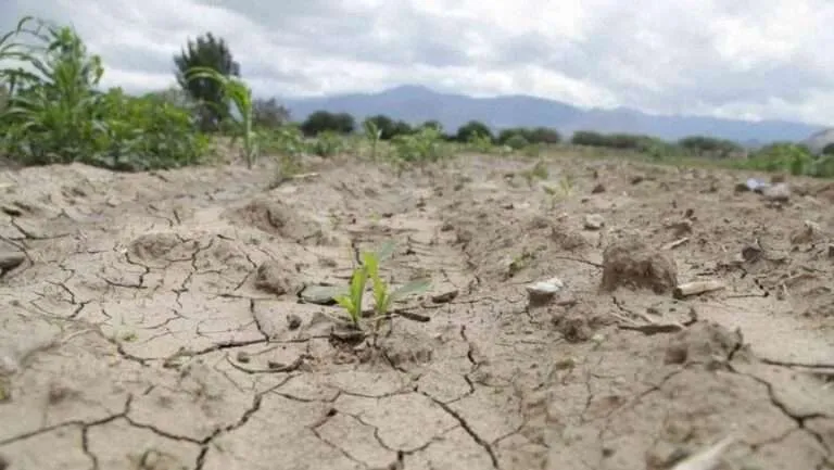  Destaca SLP en reporte entre los estados más afectados por la sequía