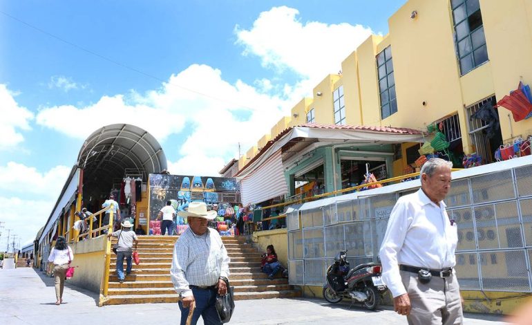  Detectan plagas de ratas y cucarachas en los mercados del Centro de SLP