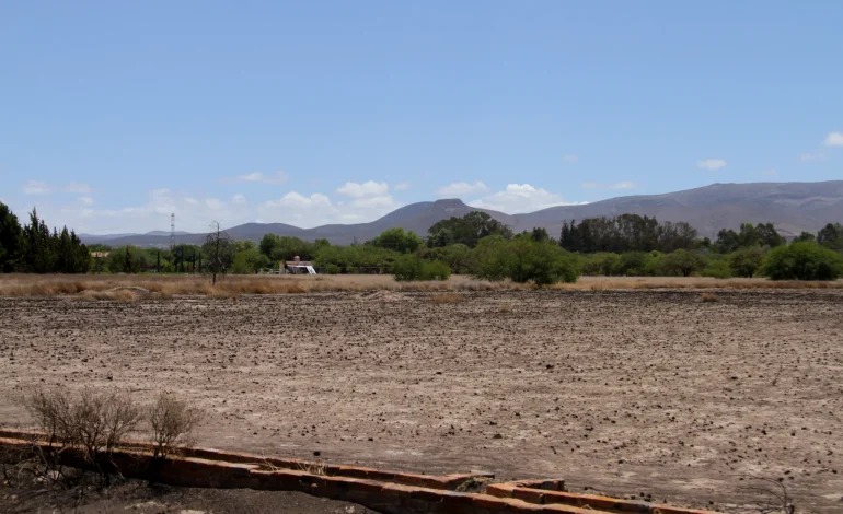  Por sequía, productores soledenses han vendido sus tierras a fraccionadores