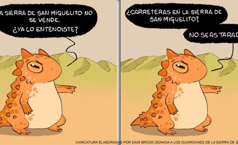  Lagarto cornudo “defiende” la Sierra de San Miguelito; gobierno licita Vía Alterna