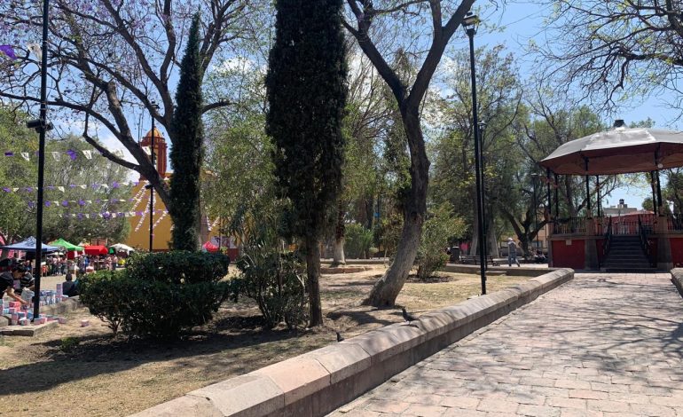  Robo de bomba causa sequía en el jardín de San Miguelito