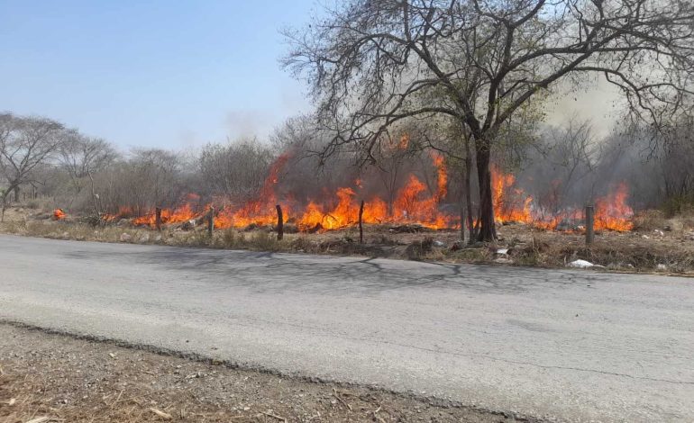  En un día, Ciudad Valles registra 9 incendios