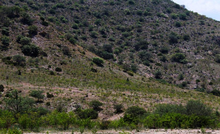  Conservar la Sierra de San Miguelito es vital para garantizar el agua en SLP