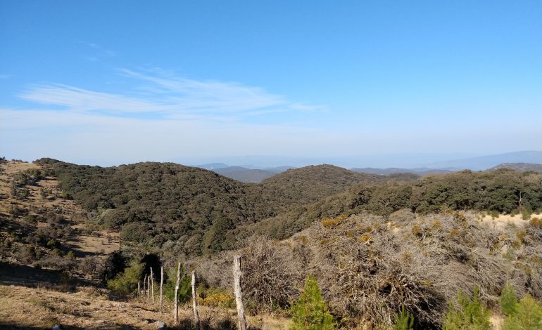  Efectividad de declaratoria del ANP Sierra de Álvarez ha sido nula: Cambio de Ruta