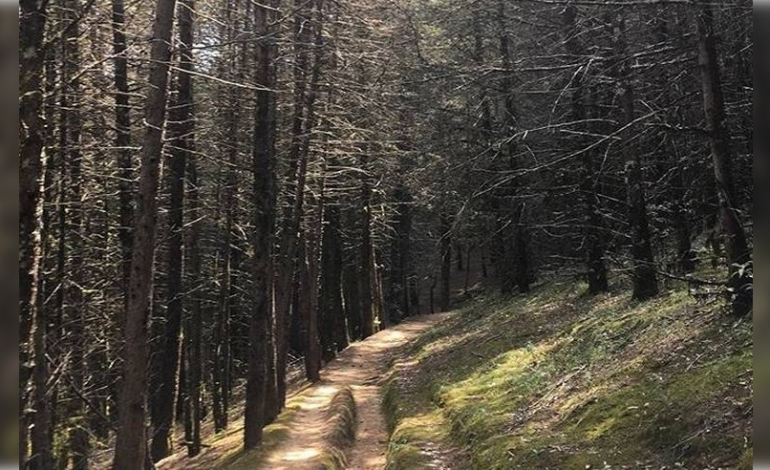  Sierra de Álvarez sigue sin Programa de Manejo a 43 años de ser ANP