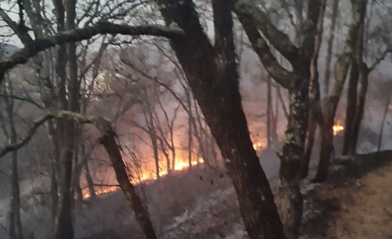  Controlan 2 incendios en la ANP Sierra de Álvarez