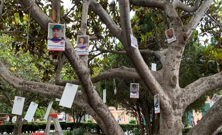  Árboles de la memoria: testigos de la lucha contra la desaparición en SLP y México