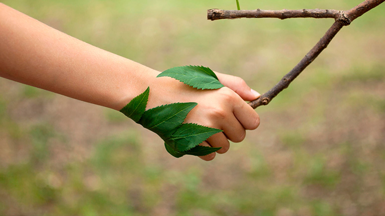  Es necesario cambiar la relación con la naturaleza y reconocer sus derechos para preservarla