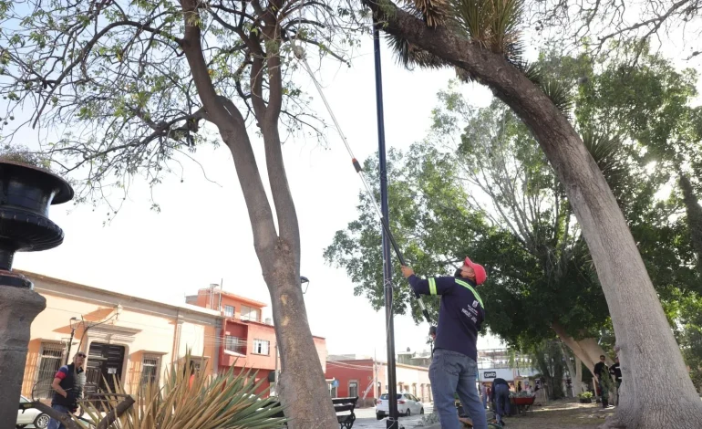  Atención de áreas verdes y alumbrado público, pendientes por atender en la capital de SLP