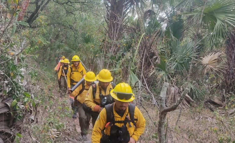  Incendio en la Sierra de San Miguelito también afecta el acuífero de SLP