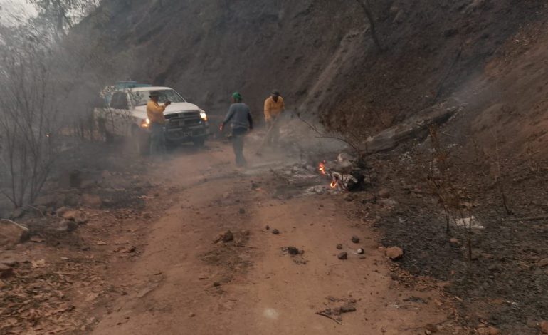  Lluvias en Santa María del Río y Tierra Nueva no controlaron el incendio en la Sierra del Camarón