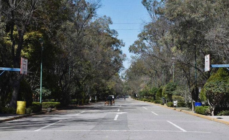  Debe protegerse el ecosistema del Parque de Morales: Cambio de Ruta