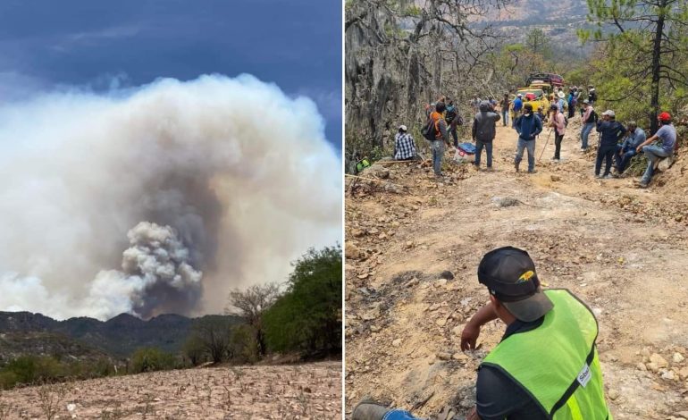  Incendio en la Sierra del Camarón sigue incontrolable; 4,000 hectáreas afectadas