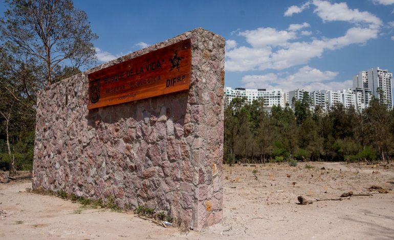  Bosque de la Vida: el proyecto que dejaron secar