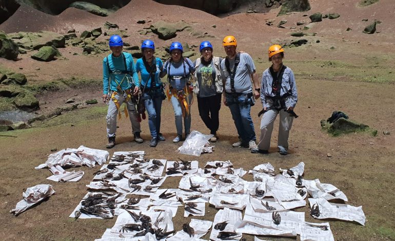  Gobierno de SLP investigará a Grupo Vidanta por ecocidio en la Huasteca