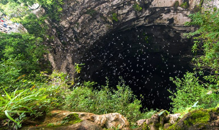  Segam incumple acuerdos sobre el ecocidio en el Sótano de las Golondrinas