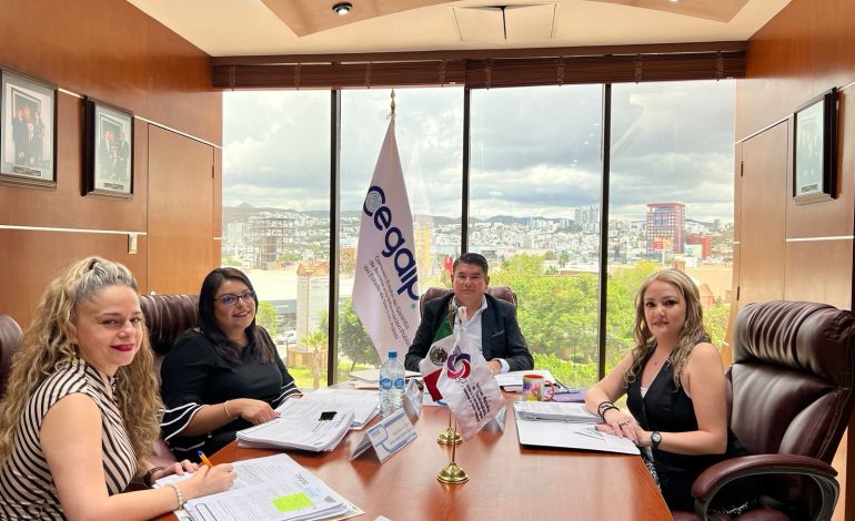  La CEGAIP se va de vacaciones con informe trimestral en puerta