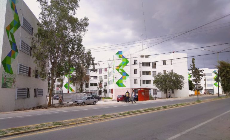  La ciudadanía también puede defender los árboles urbanos