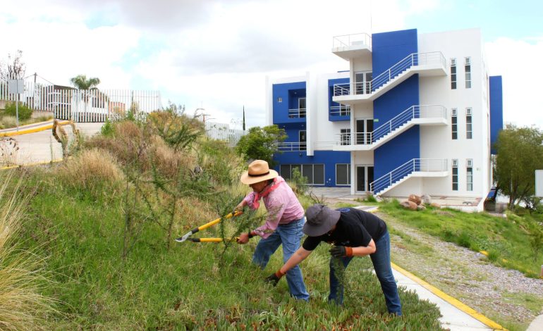  IPICYT inicia proyecto de reforestación en su campus