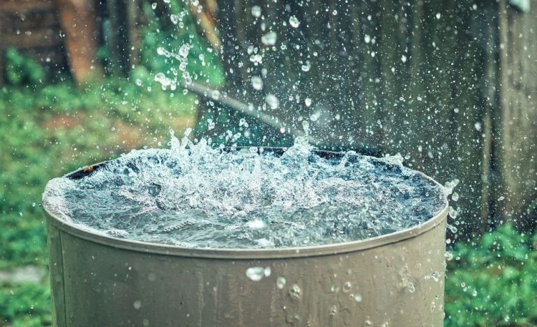  Imprescindible conservar agua de lluvias: investigador
