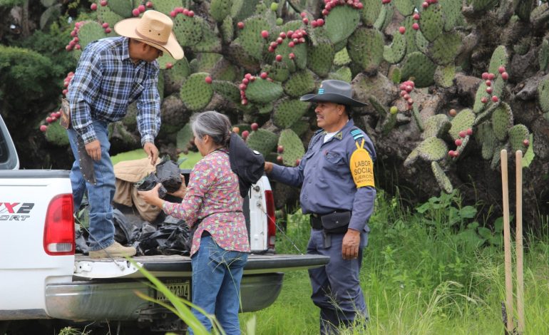  La Sierra de San Miguelito vive su 4ta jornada de reforestación