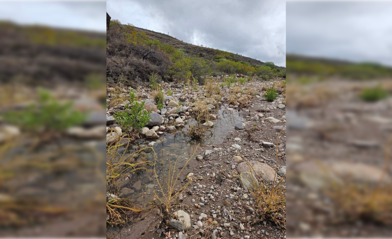  Solicitarán intervención de Conagua para frenar descargas residuales en el río Calabacillas
