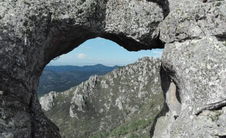  Necesario impulsar a la Conanp para conservar el Parque Nacional Gogorrón