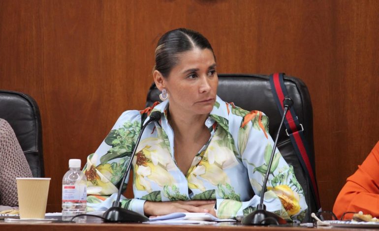  Martínez Lárraga pide licencia como diputada luego de casi un mes ausente