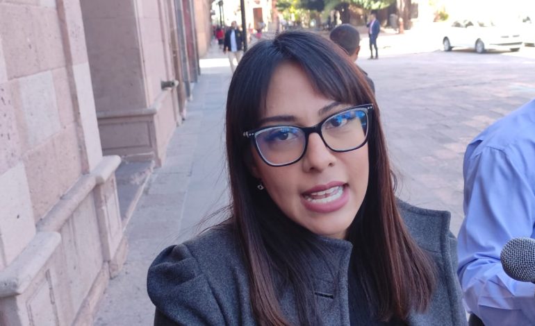  Impugnación a elección de Morena es “berrinche de juventud”: diputada