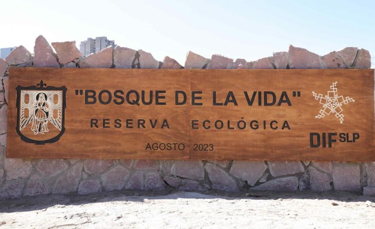  “Bosque de la Vida” se recupera