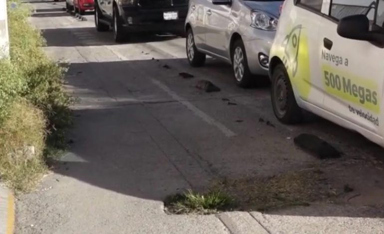  Urge atender abandono de la ciclovía de Himno Nacional: Pedaleando SLP