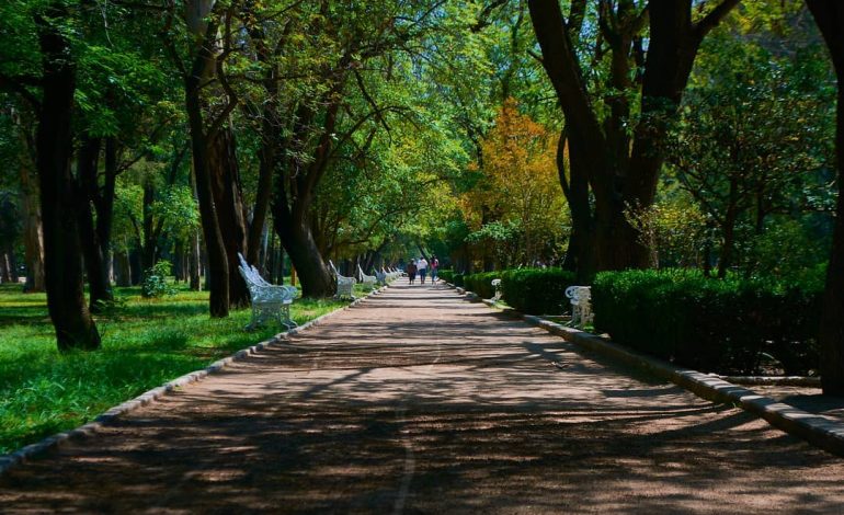  Otorgan suspensión definitiva a la remodelación del Parque de Morales
