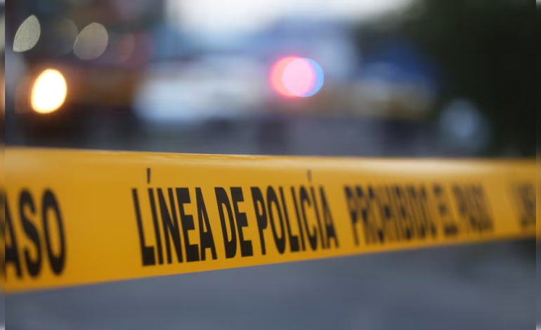  Saldo preliminar de 25 víctimas de homicidio doloso en lo que va de febrero en SLP: SESNSP