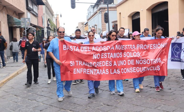  Médicos veterinarios marchan por la seguridad y reconocimiento a su labor en SLP