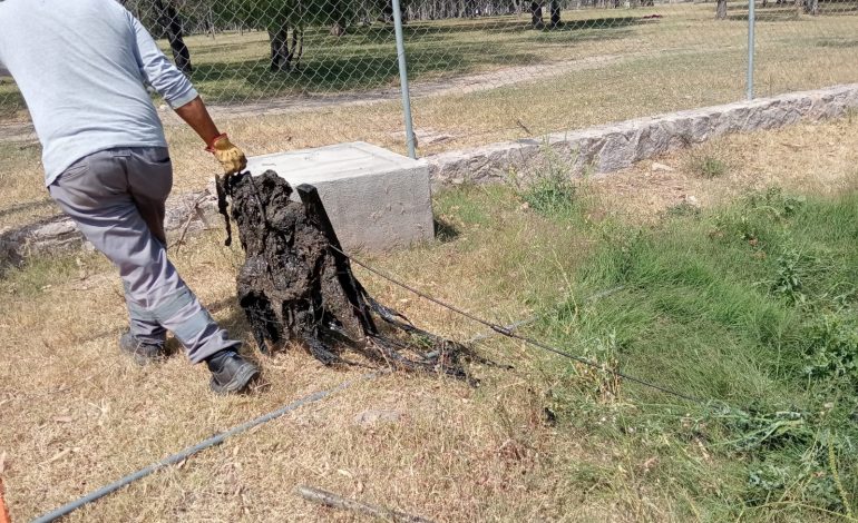  Obstrucción de drenaje agravó contaminación del Lago Mayor en Tangamanga I