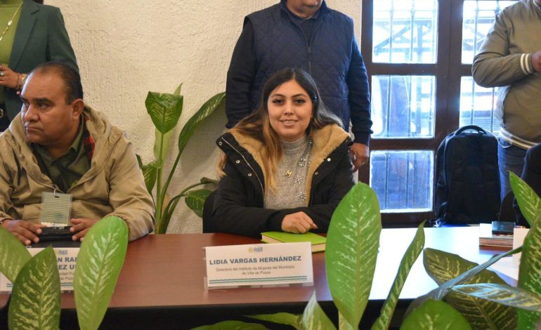  Exigen garantizar espacios libres de violencia en la Instancia de las Mujeres de Pozos