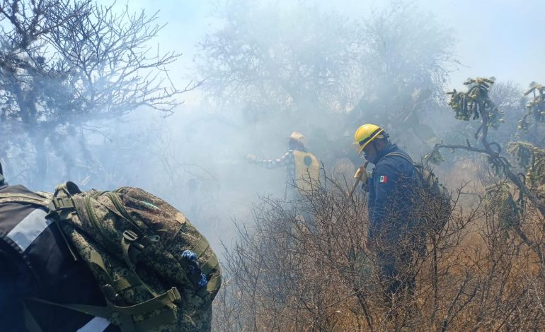  SLP, entre los estados con más incendios forestales en México