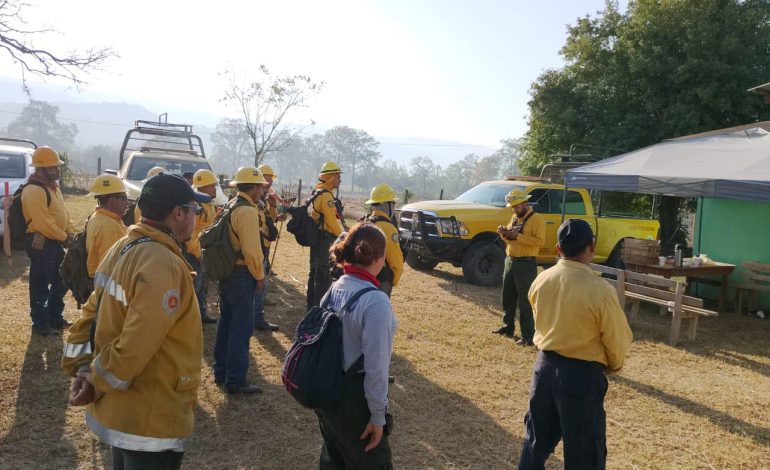  5 mil 600 hectáreas afectadas por incendios en SLP: PC