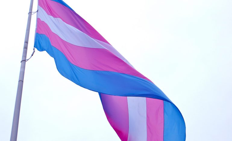  Exigen representación trans en la CEDH