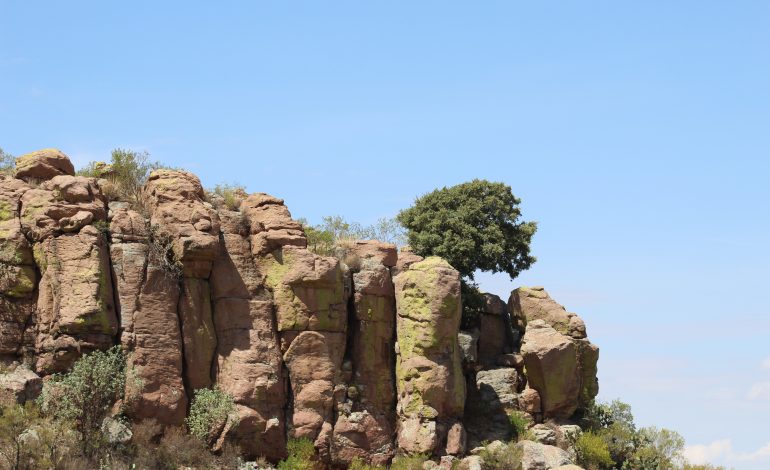  Exponen acoso inmobiliario sobre la Sierra de San Miguelito en seminario de la UNAM