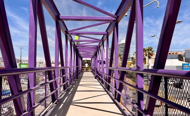  Puentes peatonales dañados y en desuso son resultado de la visión “coche centrista”: experta