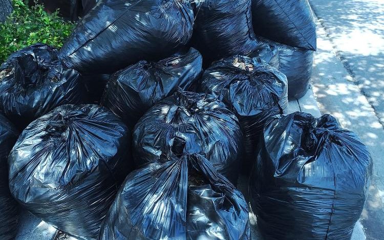  SLP capital genera 30 mil toneladas de basura al mes