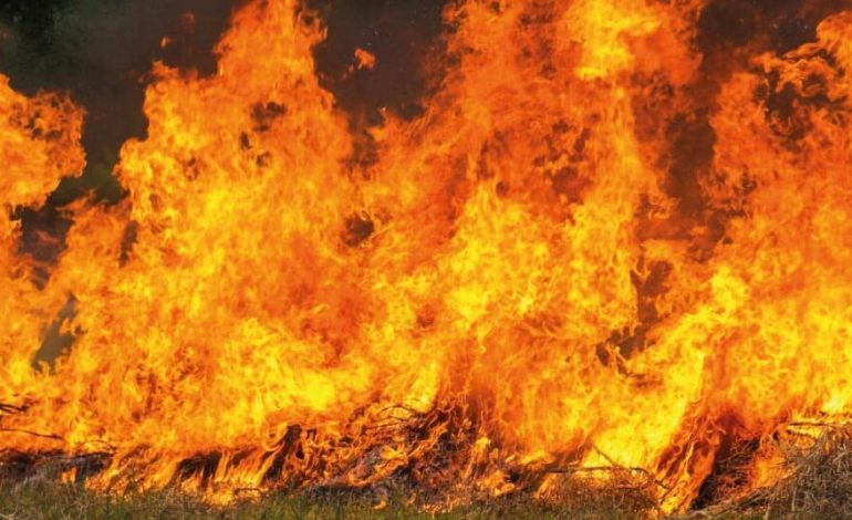  Endurecer sanciones por incendios puede criminalizar a grupos vulnerables: especialista